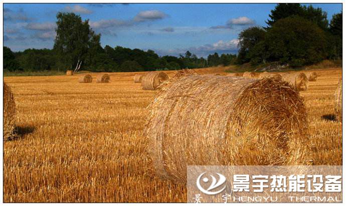 生物質鍋爐燃料來源有哪些